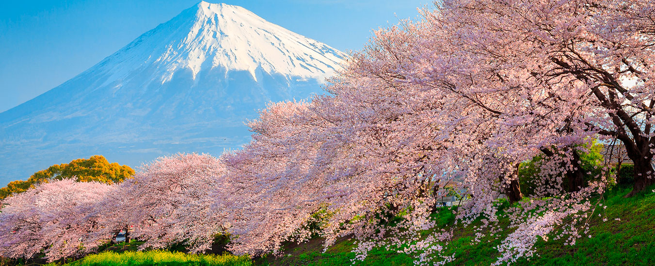 viajes a japon, ofertas a japon. cybermonday, deturista.com